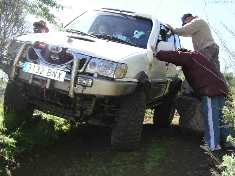 Nissan terrano iceland #4